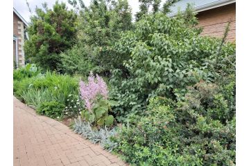 Clarens Mountain Sage Holiday House Villa, Clarens - 3