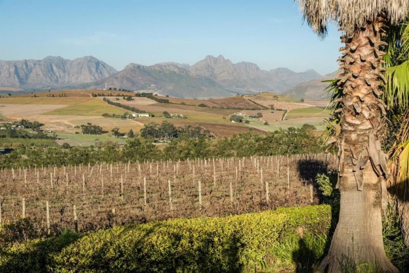 Gemoedsrus Farm Farm stay, Stellenbosch - imaginea 17