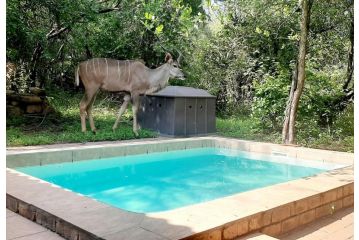 Nature House Guest house, Marloth Park - 5