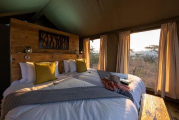 Ndhula Luxury Tented Lodge Hotel, White River - 4