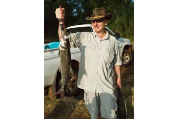 Needles Lodge Hotel, Marloth Park - 3