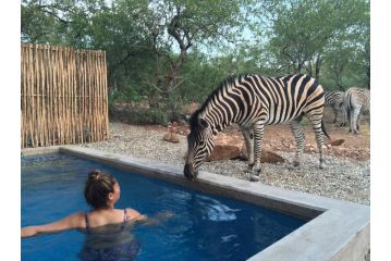 Nextdoor Kruger Guest house, Marloth Park - 2