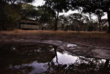 Nguni Lodge Hotel, Hluhluwe - 4