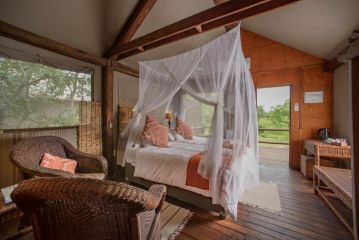 Nkambeni Safari Camp Hotel, Hazyview - 3