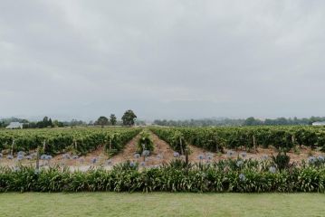 Cana Vineyard Guesthouse Guest house, Paarl - 3