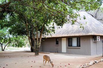 Nzuwizi River Safari Lodge Hotel, Hoedspruit - 1