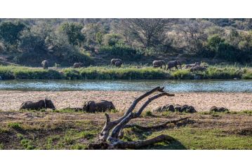 Nzuwizi River Safari Lodge Hotel, Hoedspruit - 2