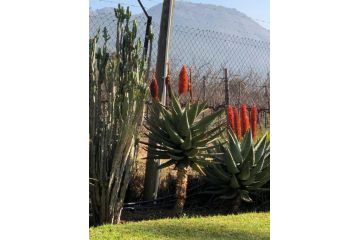 Oak Tree Lodge Hotel, Paarl - 3