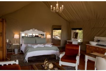 Oakron @Patatsfontein Stay luxury, secluded tent Campsite, Montagu - 5
