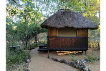 Off Beat Safaris Bush Lodge Hotel, Hoedspruit - 1