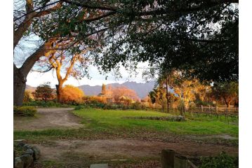 Olive and Vine Farm Cottage Apartment, Franschhoek - 5