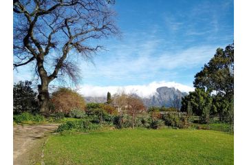 Olive and Vine Farm Cottage Apartment, Franschhoek - 4