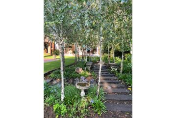 Olive Branch Cottage Bed and breakfast, Benoni - 5