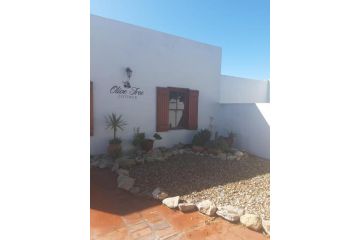Olive Tree Cottage Guest house, Paternoster - 2