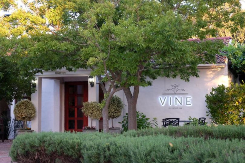 Vine Guesthouse Guest house, Stellenbosch - imaginea 8