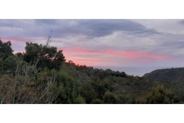 Oriole Serene Self Catering Studio Apartment, George - 3