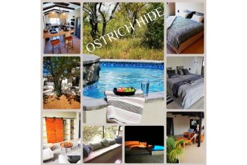 Ostrich Hide Villa, Marloth Park - 2
