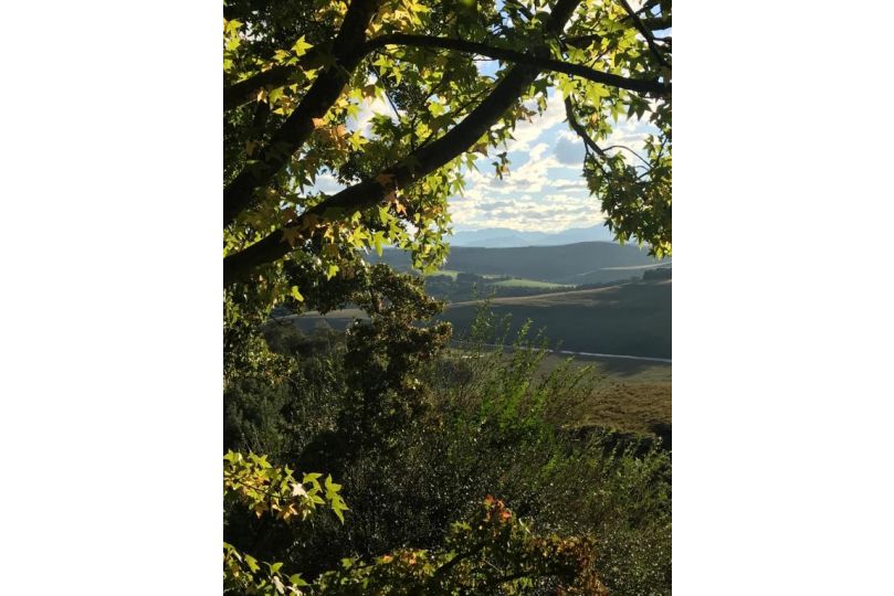 Over the Edge Cottage Guest house, Underberg - imaginea 16