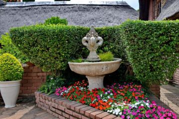 Owls Loft Guest house, Midrand - 4