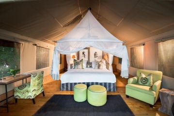 Pafuri Tented Camp Campsite, Makuleke Contract Park - 4