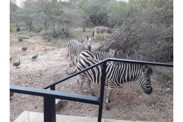 Palahala Villa, Marloth Park - 1
