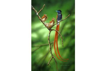 Paradise Flycatcher Apartment, East London - 4