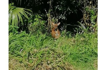 Eden Wilds 52 on Umtamvuna River Apartment, Port Edward - 2