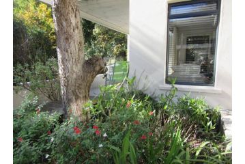 Pecan Tree Studio 2 Apartment, Stellenbosch - 3