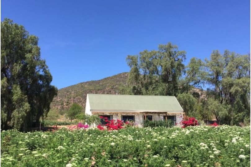 Pepper Tree Cottage Guest house, De Rust - imaginea 5