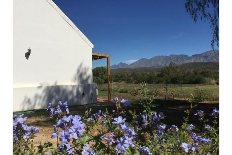 Pepper Tree Cottage Guest house, De Rust - imaginea 11