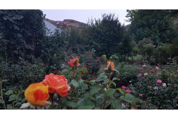 Periwinkle Grove Cottage Guest house, Clarens - 3