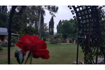 Periwinkle Grove Cottage Guest house, Clarens - 1