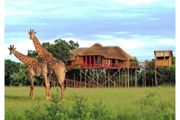 Pezulu Tree House Lodge Hotel, Hoedspruit - 2