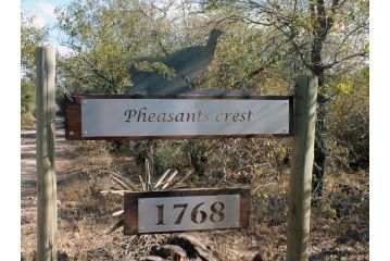 Pheasant's Crest Guest house, Marloth Park - 1