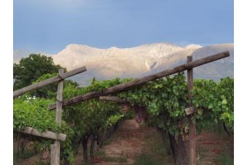Picardie Guest Farm Guest house, Paarl - 1