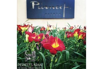 Pierneef's Kraal Guest house, Pretoria - 3