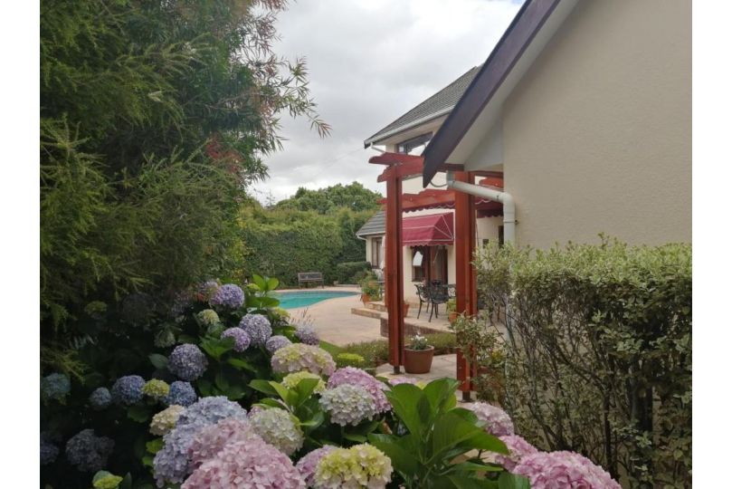 Pinoak Cottage Constantia Guest house, Cape Town - imaginea 9