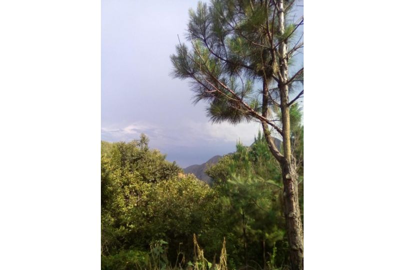 Pumba's Lookout Chalet, Barberton - imaginea 14