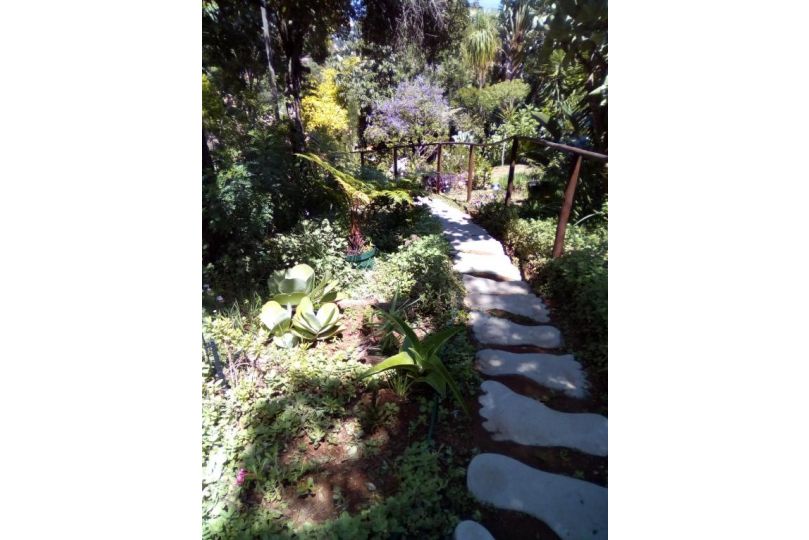 Pumba's Lookout Chalet, Barberton - imaginea 13