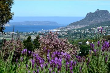 Pure Guest house, Hout Bay - 1