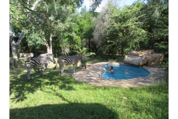 Rafiki's Resthouse Kruger Retreat Guest house, Marloth Park - 5