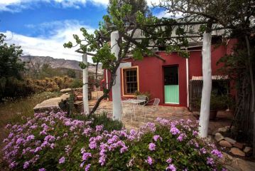 Red Rooster Chalet, Barrydale - 4