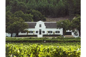 Rickety Bridge Manor House Guest house, Franschhoek - 2