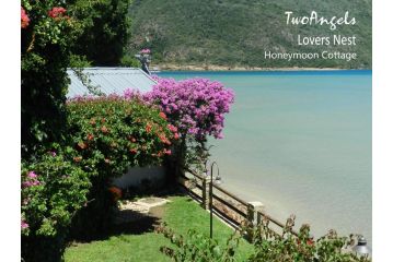 TwoAngels Guest house, Knysna - 4
