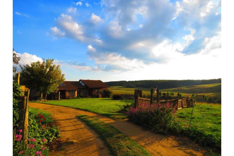 Rocks and Roses Guest house, Lochiel - imaginea 2