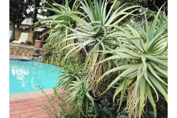 Rocky Ridge Guest House SELF Catering - No alcohol allowed Apartment, Roodepoort - 2
