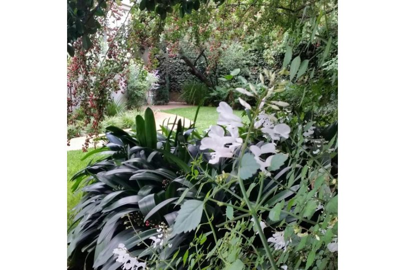 Rosebank Lodge Guesthouse by Claires Guest house, Johannesburg - imaginea 9