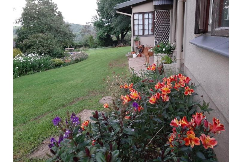 Rosedale Self Catering Cottage with pool and large entertainment BBQ area Guest house, Rosetta - imaginea 16