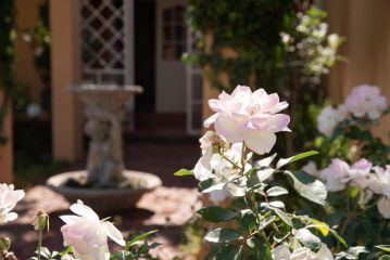 Roses and Pebbles B & B Bed and breakfast, Klerksdorp - 2