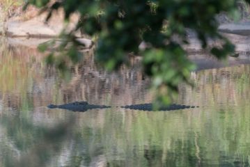 Rukiya Safari Camp Hotel, Hoedspruit - 1